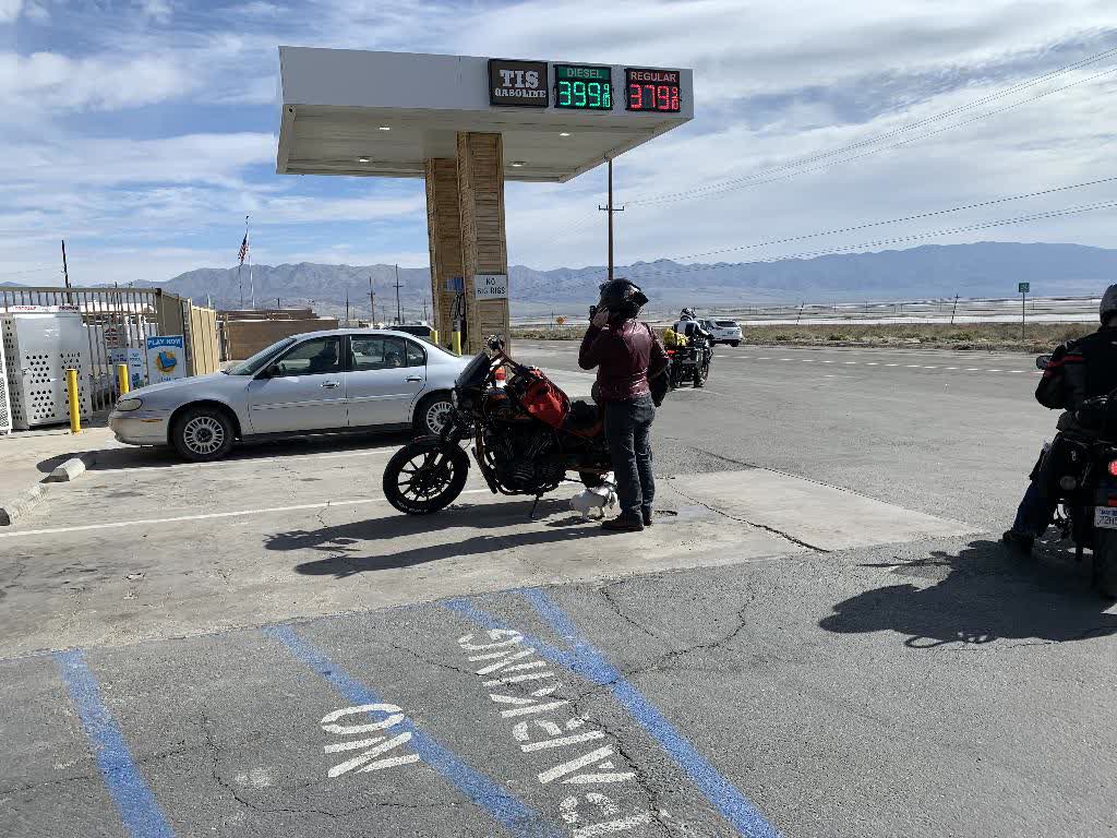 photo of dog on motorcycle