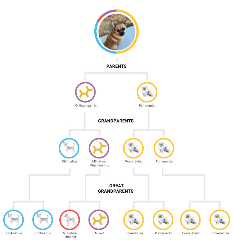 Riker’s family tree